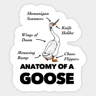 Anatomy of a Goose Sticker